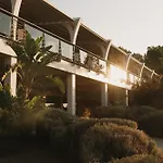 Hydra