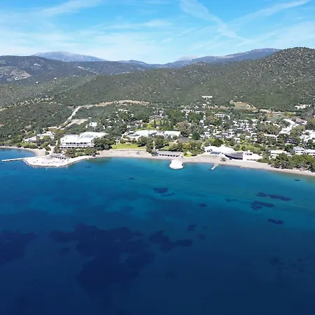 Hydra 5*